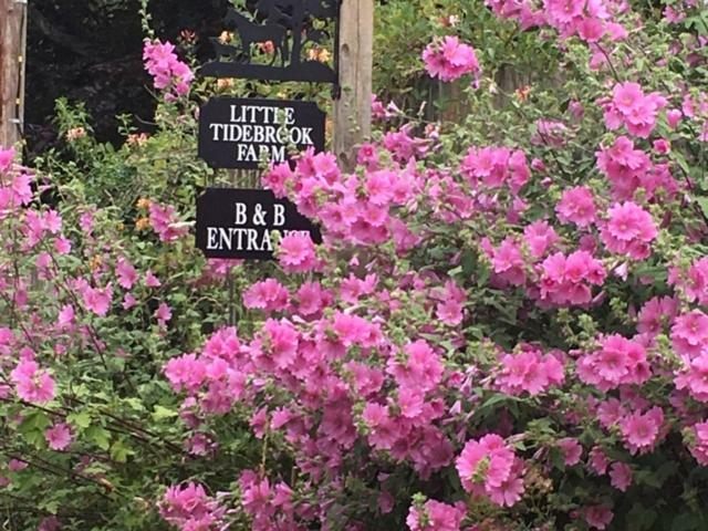 Little Tidebrook Farm Bed & Breakfast Wadhurst Exterior photo